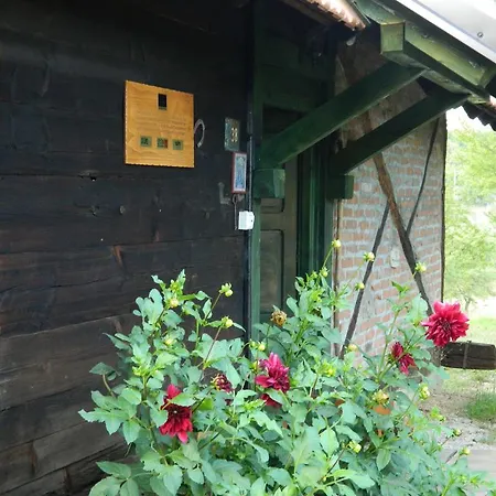 Dağ evi Belino Sokace Užice