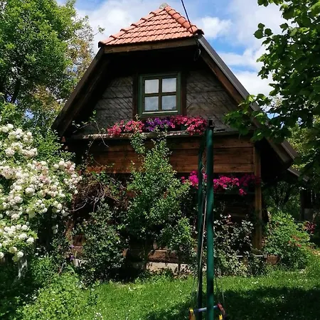 Belino Sokace Dağ evi Užice