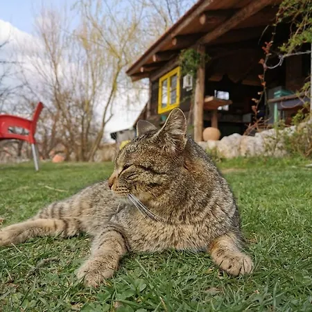 Dağ evi Belino Sokace