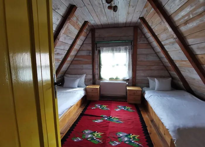 Belino Sokace Užice