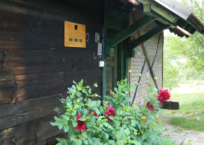 Alpehytte Belino Sokace Užice