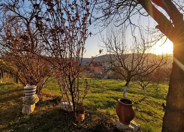 Belino Sokace Alpehytte