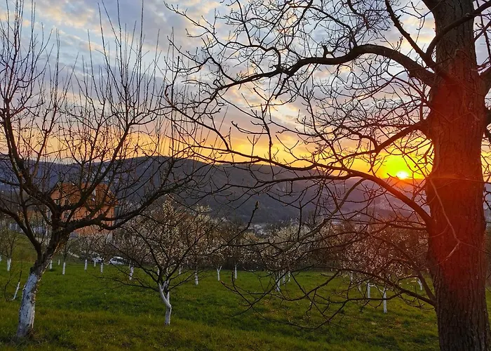 Belino Sokace Alpehytte Užice